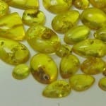 Amber Mixed Shapes (12 Pcs. Parcel)