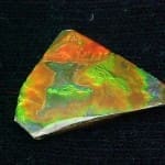 Ammolite Freeform 26x16mm 11.02crts