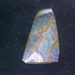 Ammolite Freeform 39x21mm 30.81crts