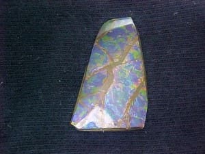 Ammolite Freeform 39x21mm 30.81crts