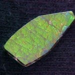 Ammolite Freeform 21x10mm 4.11crts
