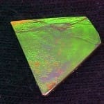 Ammolite Freeform 20x18mm 9.24crts
