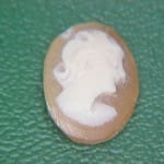 Cameo Shell 8.7x6.8mm 2.00crts
