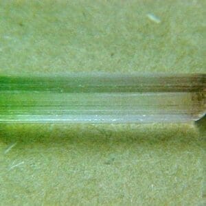 Tourmaline Watermelon Rough 14.5x3.5mm 1.82crts