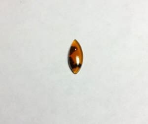 Opal Oregon Juniper Ridge Oval 13.4×5.1mm 1.39Crts
