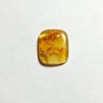 Opal Oregon Juniper Ridge Square 13.5x11.5mm 3.96Crts