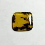 Opal Oregon Juniper Ridge Sqaure 15x14mm 4.90Crts