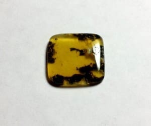 Opal Oregon Juniper Ridge Sqaure 15x14mm 4.90Crts