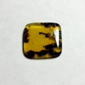 Opal Oregon Juniper Ridge Sqaure 15x14mm 4.90Crts