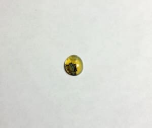 Opal Oregon Juniper Ridge Oval 6.5×5.5mm 1.30Crts