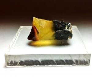 Opal Oregon Juniper Ridge Rough 1″x 1/2″ 16.06Crts