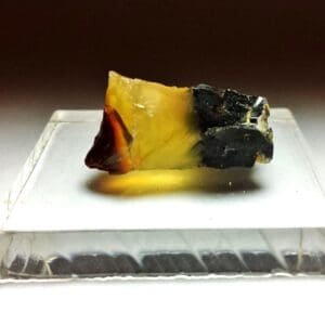 (S1) Opal Oregon Juniper Ridge Rough 1"x 1/2" 16.06Crts