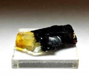 Opal Oregon Juniper Ridge Rough 1 1/2″x 1″ 20.64Crts