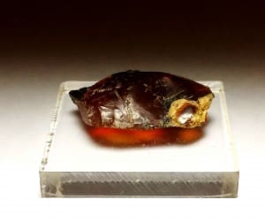 Opal Oregon Juniper Ridge Rough 1 1/4″x 3/4″ 22.44Crts