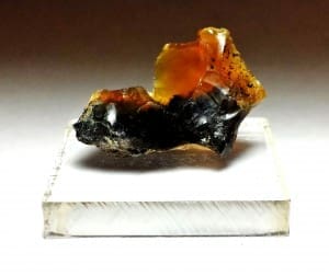 Opal Oregon Juniper Ridge Rough 1 1/3″x 1/2″ 24.30Crts