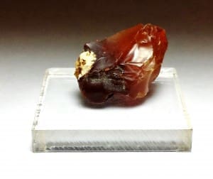 Opal Oregon Juniper Ridge Rough 1″x 1/2″ 2576Crts