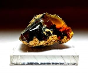 Opal Oregon Juniper Ridge Rough 1 1/3″x 3/4″ 47.31Crts