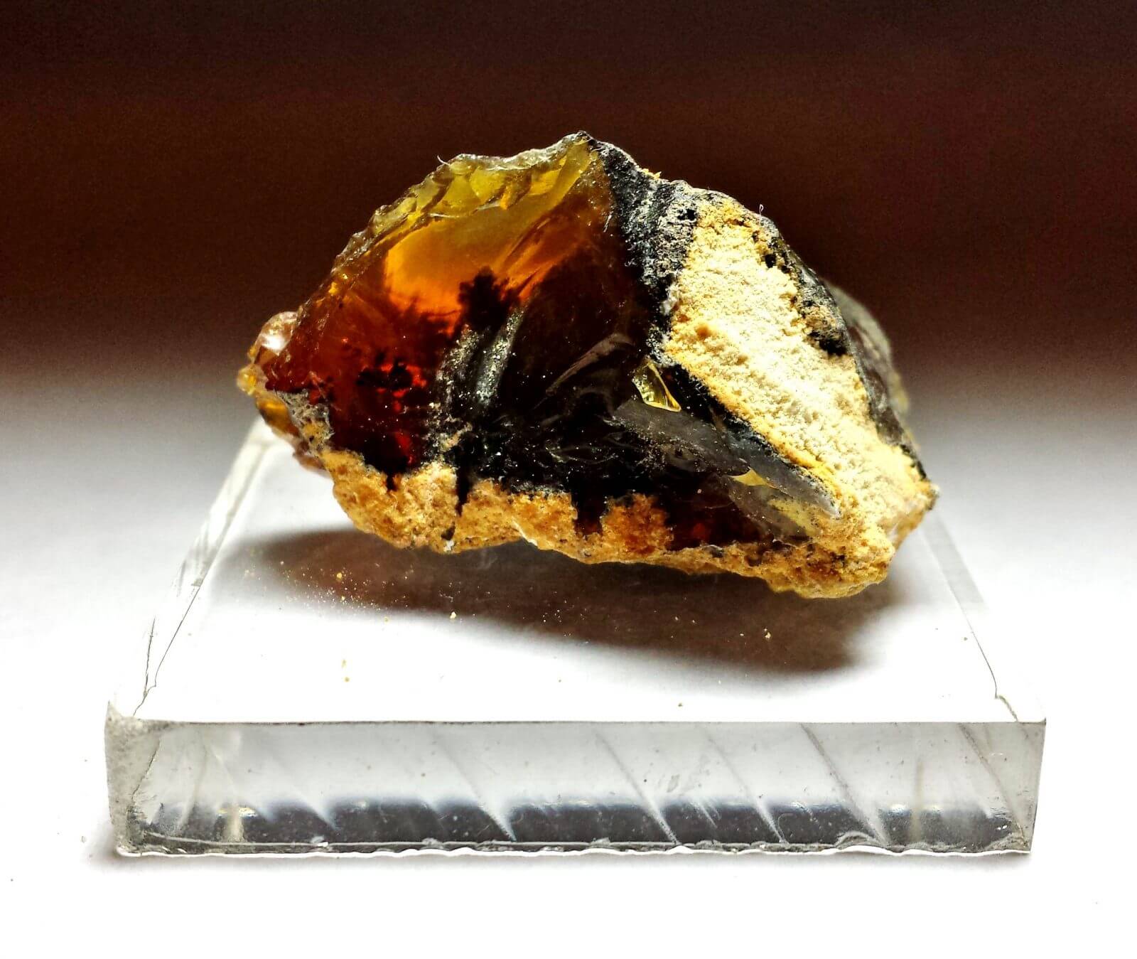 (R4) Opal Oregon Juniper Ridge Rough 1 1/3"x 3/4" 47.31Crts - Image 2