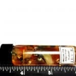 Opal Oregon Juniper Ridge Rough Specimen Vile 15 Gram (1 Pcs)