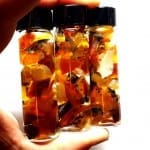 Opal Oregon Juniper Ridge Rough Specimen Vile 15 Gram (1 Pcs)