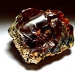 Opal Oregon Juniper Ridge Rough 2 3/4"x 2 1/2" 670Crts