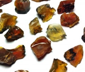 https://goldcrownjewelry.com/wp-content/plugins/foxyshop/images/no-photo.png