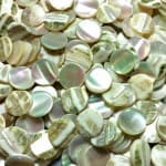 Mother of Pearl Cabochon Round Disks 8.5mm (100 Pcs) ~BUY 2 GET 1 FREE!
