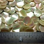 Mother of Pearl Cabochon Round Disks 8.5mm (100 Pcs) ~BUY 2 GET 1 FREE!