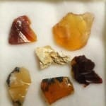 Opal Oregon Juniper Ridge Rough Sample (6 Pcs)
