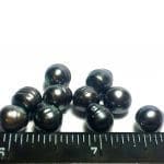 Pearl Freshwater Black Peacock Banded Drop (10Pcs)