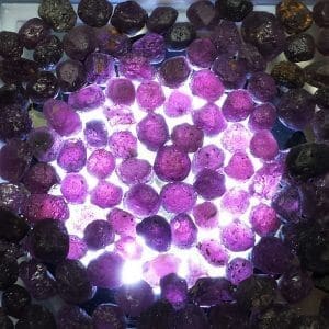 Garnet Oregon Rough Specimen (10ctw)