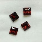 Garnet Princess Cut 5mm (4 Pcs)