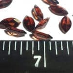 Garnet Marquise 6×3.5mm (12 Pcs)
