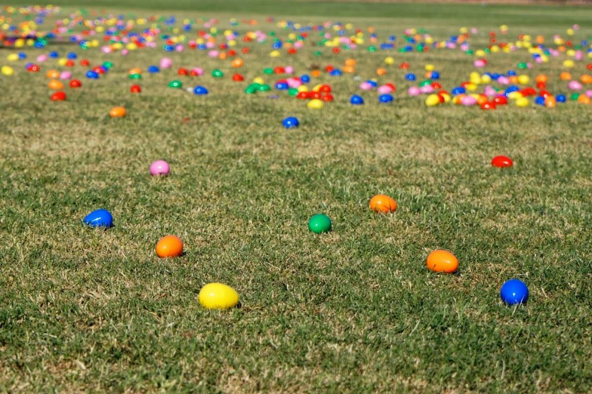 egg hunt