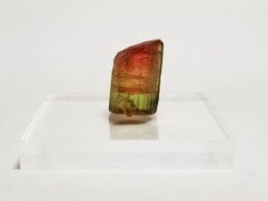 Tourmaline Multi-color Rough Specimen 3/4″x1/2″ 5.25 Crts