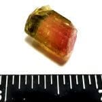 Tourmaline Multi-color Rough Specimen 3/4″x1/2″ 5.25 Crts