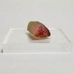 Tourmaline Multi-color Rough Specimen 3/4″x1/2″ 15.20 Crts