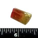 Tourmaline Multi-color Rough Specimen 3/4″x1/2″ 15.20 Crts