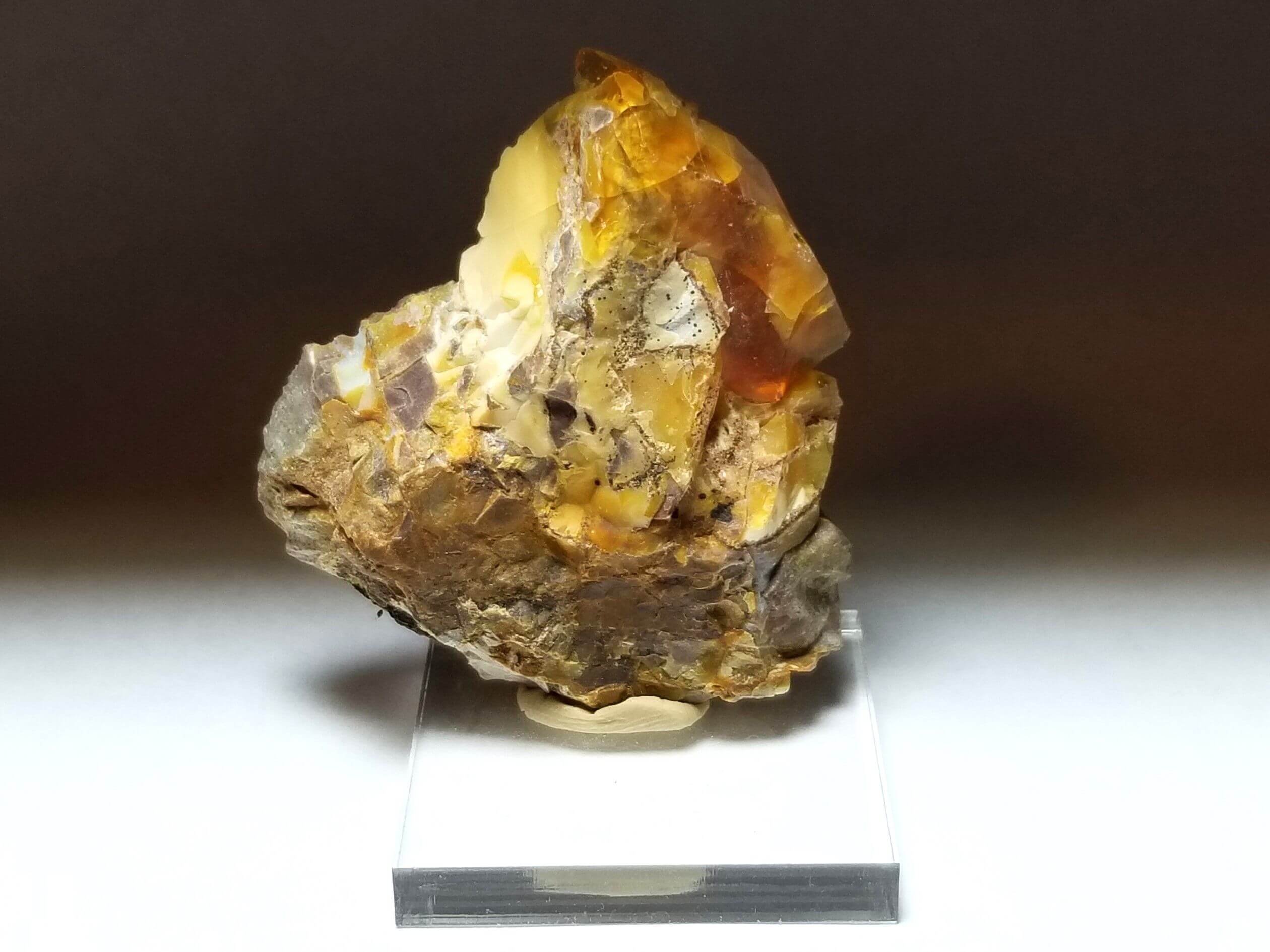 (V7) Oregon Opal Butte Specimen 1.5" x 2" In. 154.50 Crts - Image 2