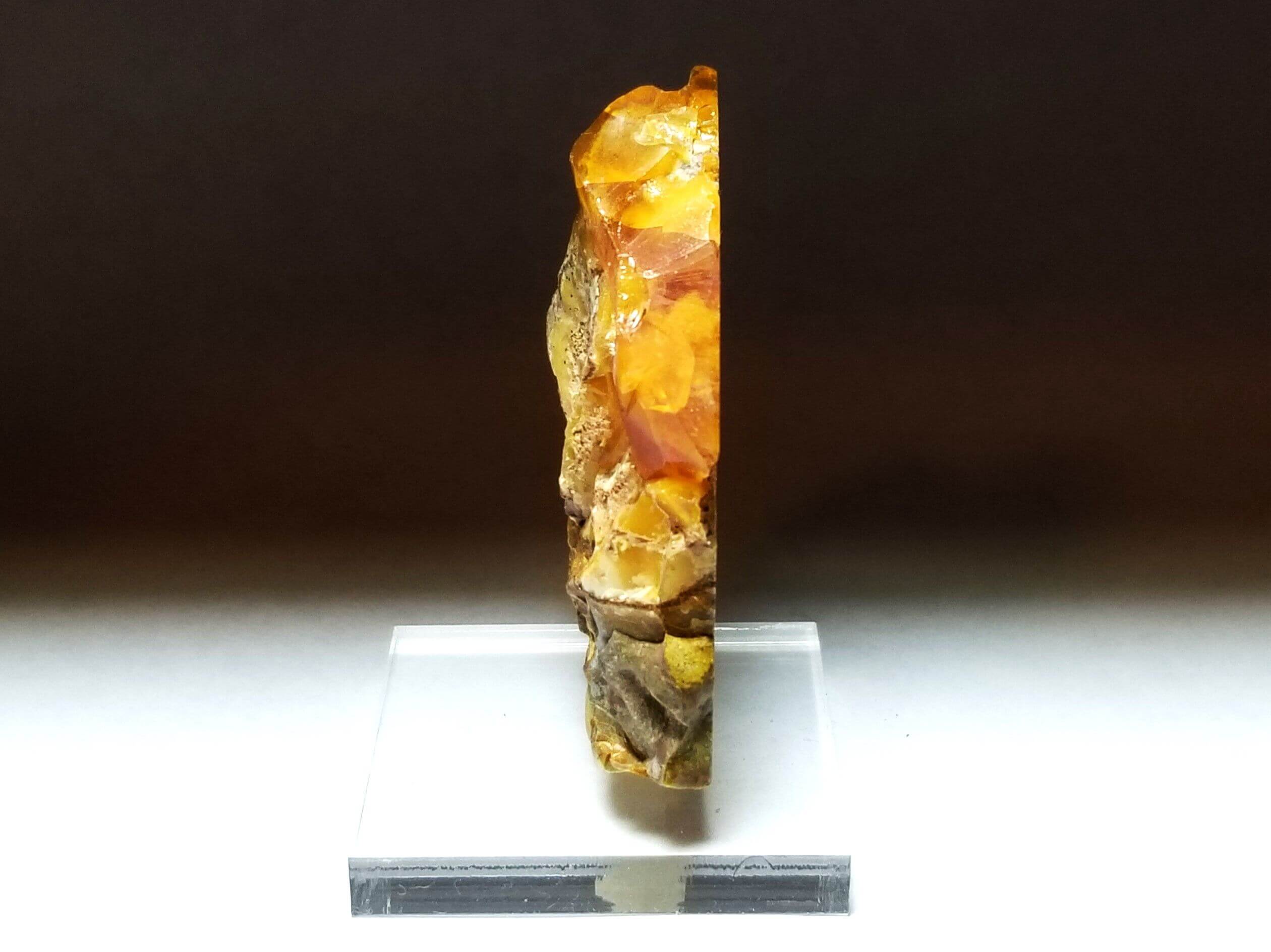 (V7) Oregon Opal Butte Specimen 1.5" x 2" In. 154.50 Crts - Image 3