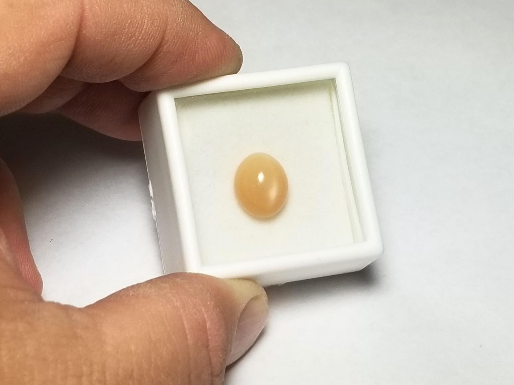 Moonstone Cats Eye Peach Oval 12x10mm 6.47crts - Image 3