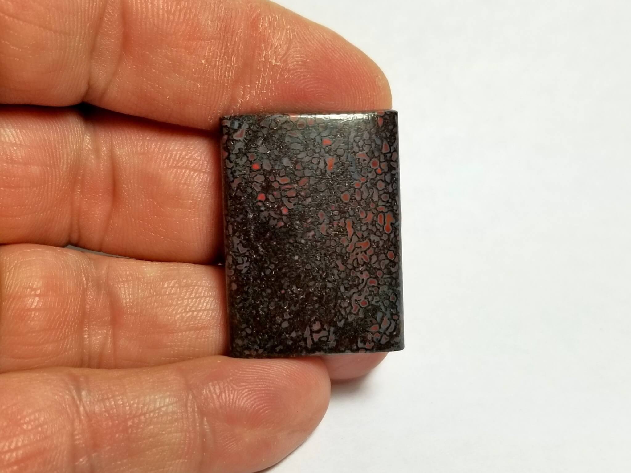 Dinosaur Bone Cabochon Oval 35x25.5mm 55.10Crts - Image 4