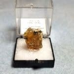 Oregon Fire Opal Juniper Ridge Specimen Thumbnail 21x12mm 12.54crts