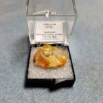 Oregon Opal Butte Specimen Thumbnail 27x16mm 19.49crts