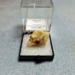 Oregon Opal Butte Specimen Thumbnail 27x14mm 23.52crts