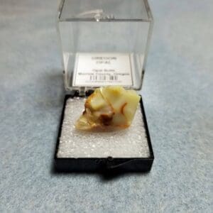 Oregon Opal Butte Specimen Thumbnail 27x14mm 23.52crts