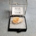 Opal Mexican Contraluz Specimen Thumbnail 20x12mm" 10.88Crts