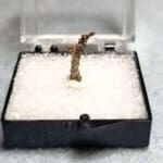 (L1) Silver Native Canada Specimen Thumbnail 16x3mm 0.23Grams