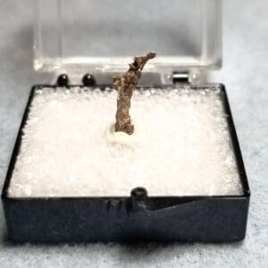 (L1) Silver Native Canada Specimen Thumbnail 16x3mm 0.23Grams