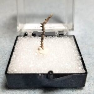 Silver Native Canada Specimen Thumbnail 21x1.5mm 0.15Grams